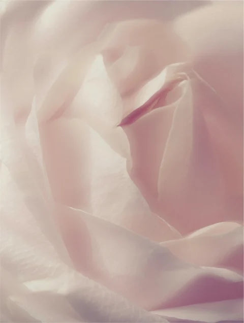 Gentle Glow Foam Cleanser