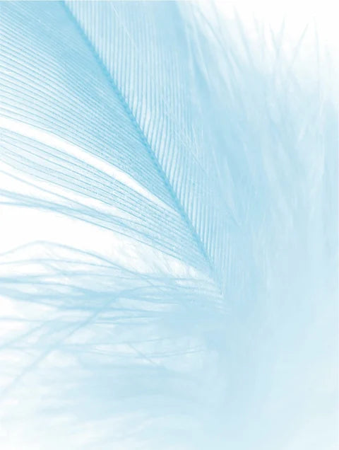 Sensitive Skin Moisturizer - Donny's Angel