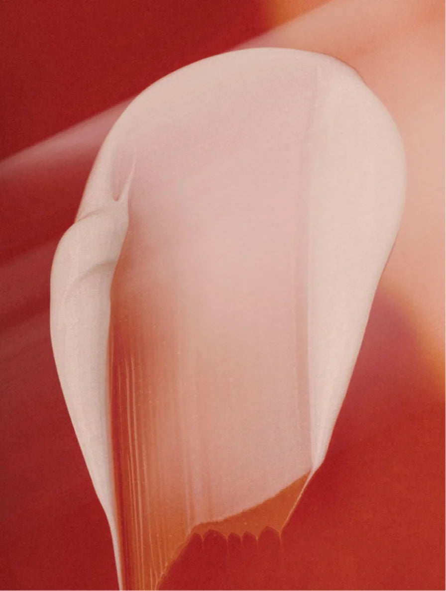 Anti-Aging Moisturizing Day Cream - Donny's Angel